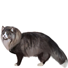 Load image into Gallery viewer, Norwegian Forest Cat - Full Breed Profile
