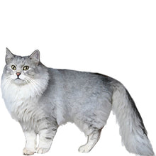 Load image into Gallery viewer, Siberian - Full Breed Profile
