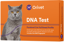 Load image into Gallery viewer, Domestic Short Hair - Full Breed Profile
